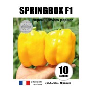 Перець Спрінгбокс F1 (Springbox F1)